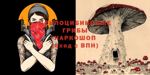 МДПВ Алексин