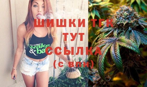 МДПВ Алексин