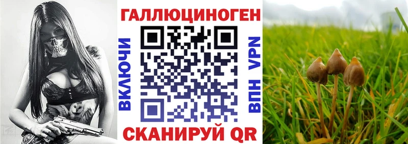 Галлюциногенные грибы мицелий  продажа наркотиков  Гаджиево 
